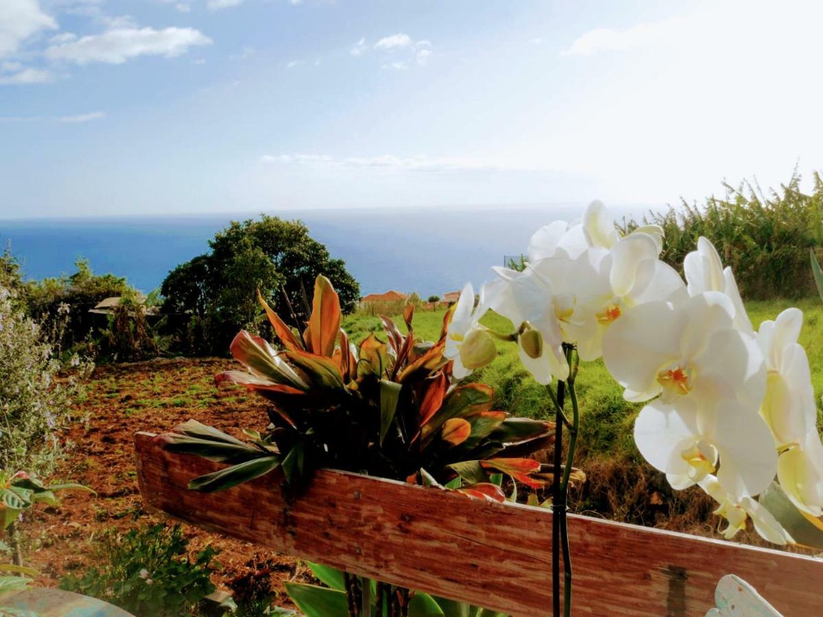 Casas Serenas Estreito Da Calheta Dış mekan fotoğraf