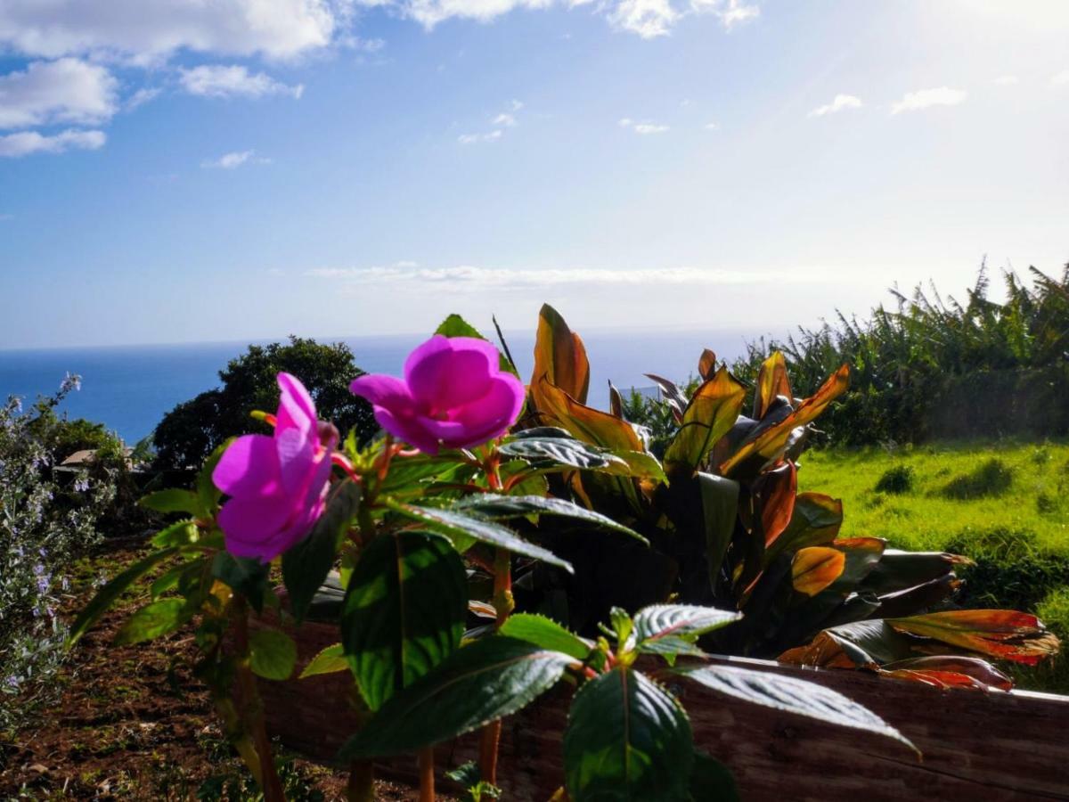 Casas Serenas Estreito Da Calheta Dış mekan fotoğraf